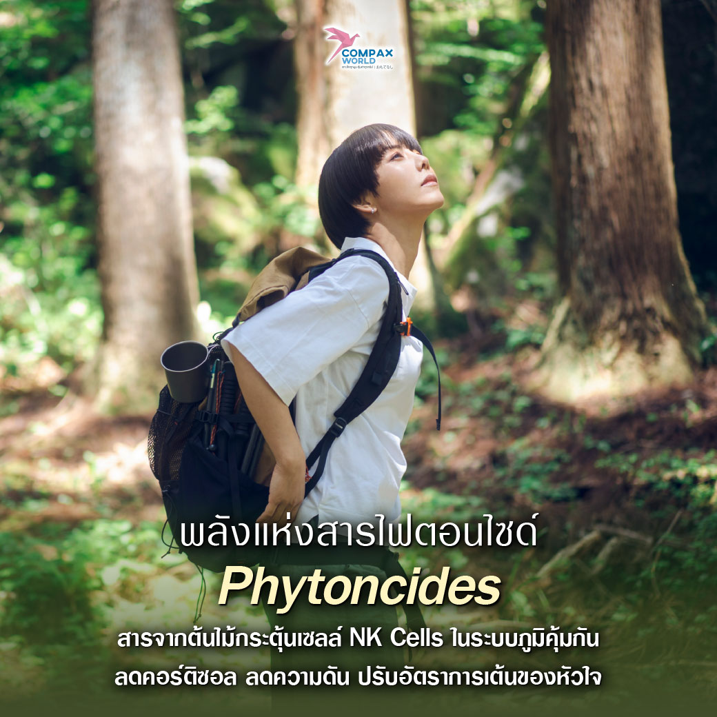 เที่ยวญี่ปุ่น ทัวร์ญี่ปุ่น ทัวร์ญี่ปุ่นพรีเมี่ยม โปรแกรมทัวร์ญี่ปุ่น